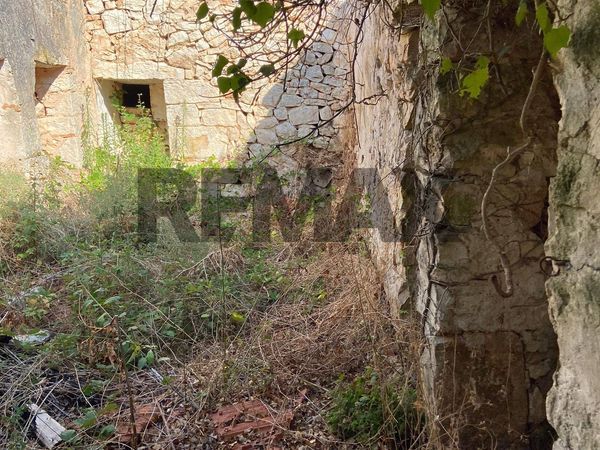 Baita/Chalet/Trullo Noci, BA Vendita - Foto 4