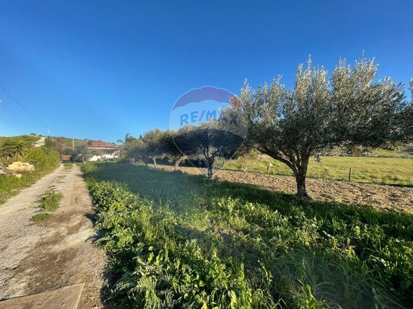 Villa singola Periferia, Agrigento, AG Vendita - Foto 2