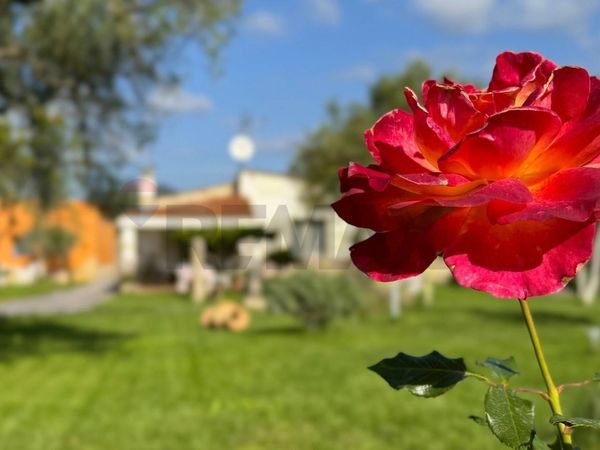 Casa Indipendente Dolianova, SU Vendita - Foto 2