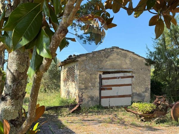 Cascina/Casale San Gimignano, SI Vendita - Foto 2