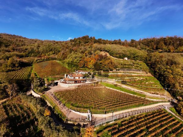 Azienda Agricola Tagliuno, Castelli Calepio, BG Vendita - Foto 4