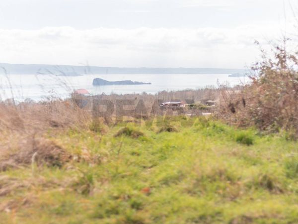 Terreno Gradoli, VT Vendita - Foto 3