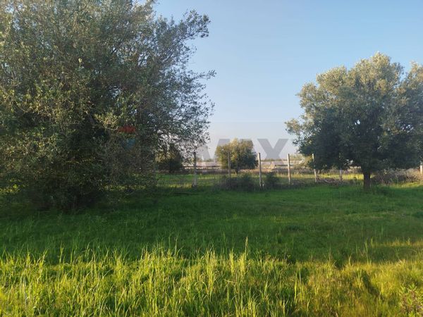 Villa singola Noto, SR Vendita - Foto 3