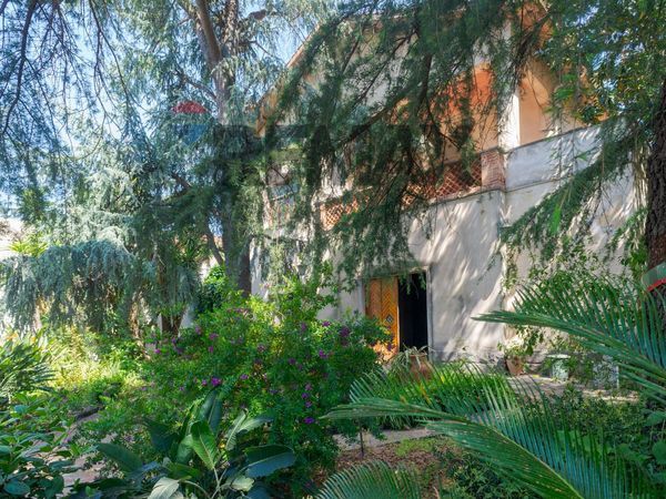 Villa singola Trecastagni, CT Vendita - Foto 4