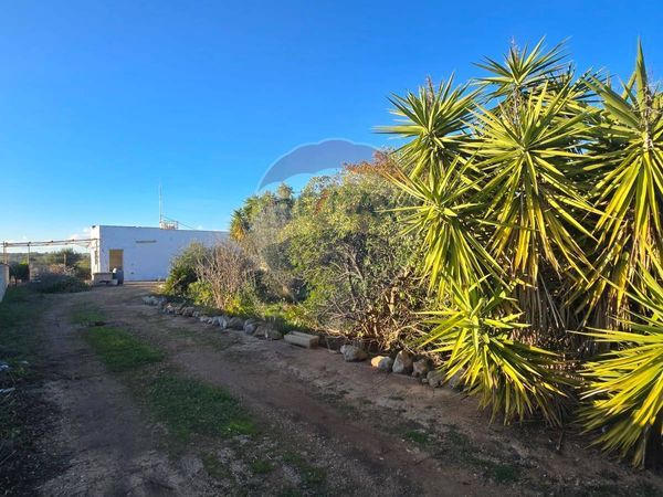 Casa Indipendente Carovigno, BR Vendita - Foto 3