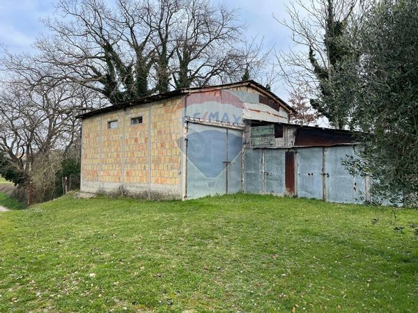 Casa Indipendente Filottrano, AN Vendita - Foto 3