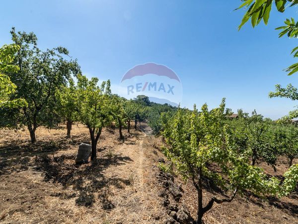 Terreno Centuripe, EN Vendita