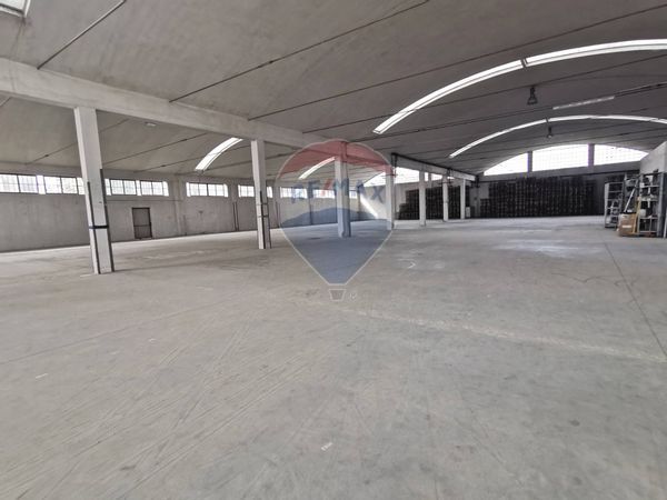 Capannone Industriale Vigliano Biellese, BI Affitto - Foto 2