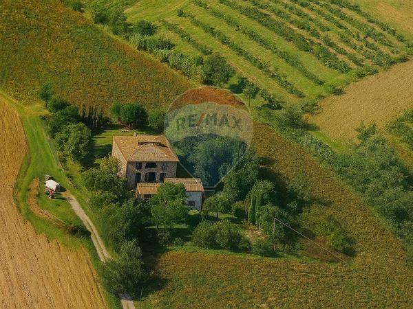 Rustico San Martino, Figline e Incisa Valdarno, FI Vendita - Foto 2