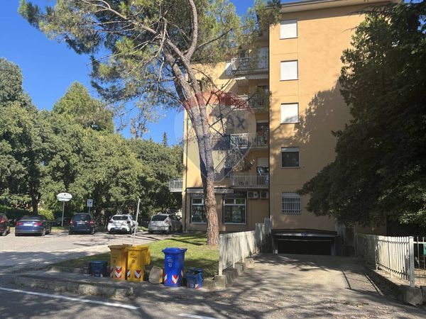 Appartamento Selvana, Treviso, TV Vendita - Foto 3