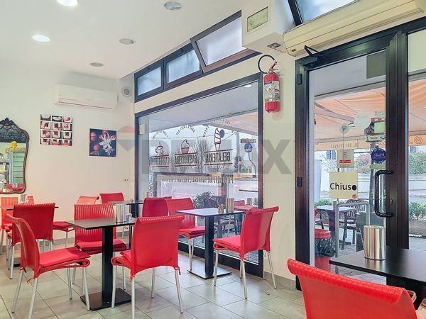 Attività  Commerciale Noventa Padovana, PD Vendita - Foto 4