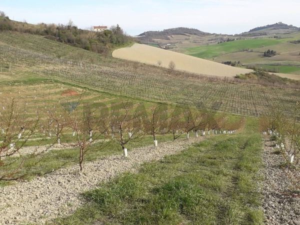 Rustico Meldola, FC Vendita - Foto 3