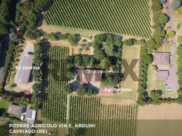 Azienda Agricola Cavriago, Reggio nell'Emilia, RE Vendita - Foto 4