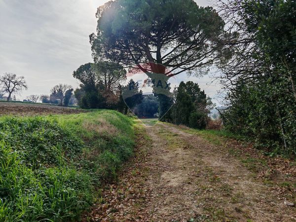 Cascina/Casale Recanati, MC Vendita - Foto 3