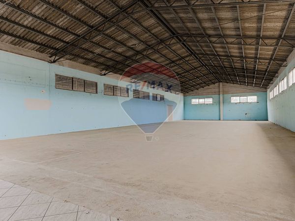 Locale Commerciale Boccea, Roma, RM Affitto - Foto 2