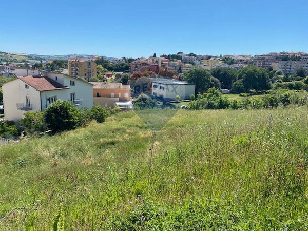 Terreno Edificabile Abbadia, Osimo, AN Vendita - Foto 3
