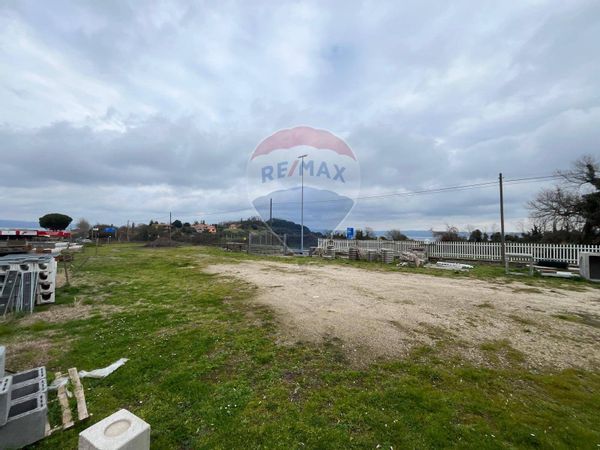 Terreno Edificabile Marta, VT Vendita - Foto 3