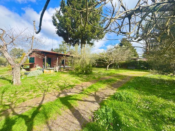 Cascina/Casale Manziana, RM Vendita - Foto 3