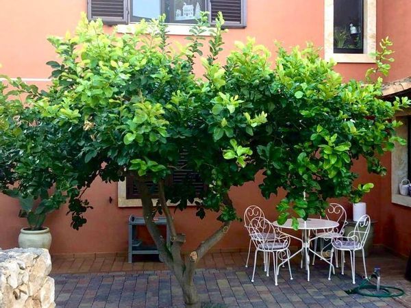 Villa singola Brucoli, Augusta, SR Vendita - Foto 3