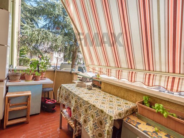 Appartamento Castelbellino Stazione, Castelbellino, AN Vendita - Foto 4