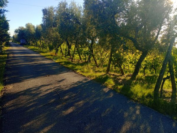 Villa singola Lamporecchio, PT Vendita - Foto 3