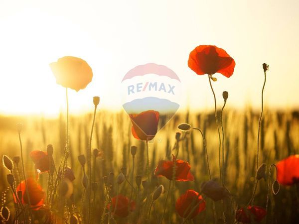 Terreno Serravalle, SM Vendita - Foto 3