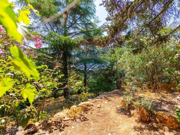 Villa singola Martina Franca, TA Vendita - Foto 2