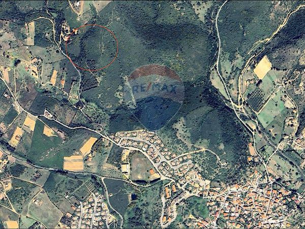 Terreno Domus de Maria, SU Vendita