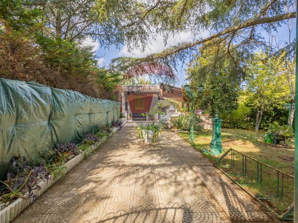 Villa singola Cassano delle Murge, BA Vendita - Foto 3