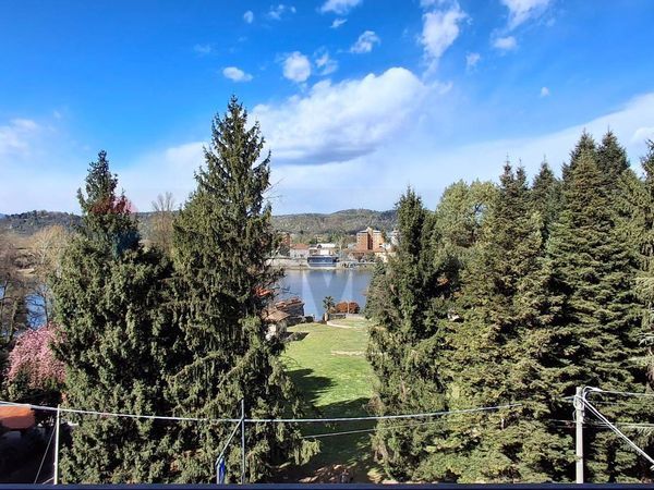 Appartamento Castelletto sopra Ticino, NO Vendita - Foto 2