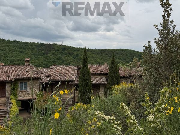 Rustico Greppolischietto, Piegaro, PG Vendita - Foto 3