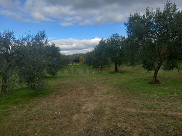 Terreno Dolianova, SU Vendita