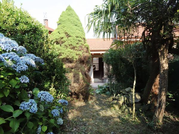 Casa Indipendente Montrigiasco, Arona, NO Vendita