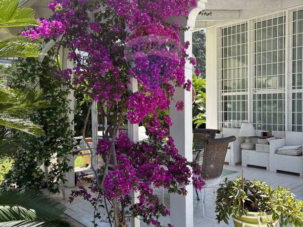 Villa singola Valenzano, BA Vendita - Foto 2