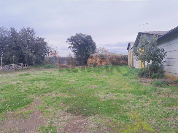 Capannone Industriale Celleno, VT Vendita - Foto 4