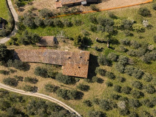Cascina/Casale Sodo, Cortona, AR Vendita