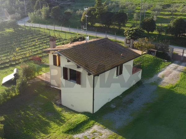 Villa singola Vinci, FI Vendita - Foto 3