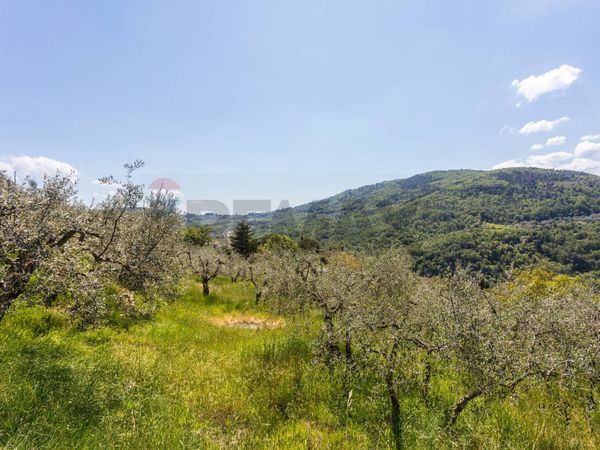 Terreno Osteria Nuova, Bagno a Ripoli, FI Vendita - Foto 4