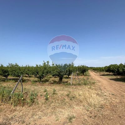 Terreno Marconia, Pisticci, MT Vendita