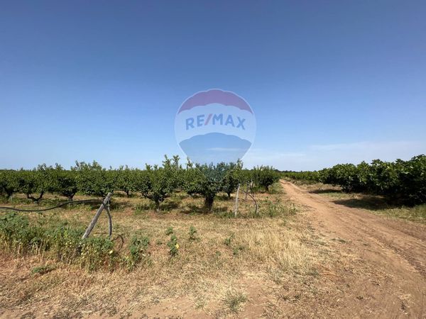 Terreno Marconia, Pisticci, MT Vendita