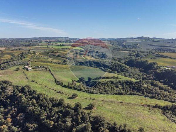 Terreno Pitigliano, GR Vendita - Foto 2