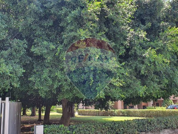 Casa Indipendente Recanati, Giardini-Naxos, ME Vendita