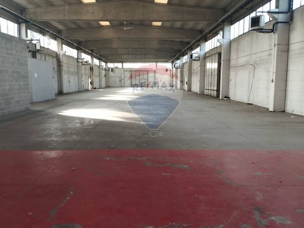 Capannone Industriale Passirana, Rho, MI Affitto - Foto 2