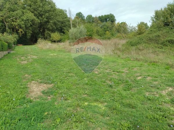 Terreno Chiantigiana, Montevarchi, AR Affitto - Foto 4