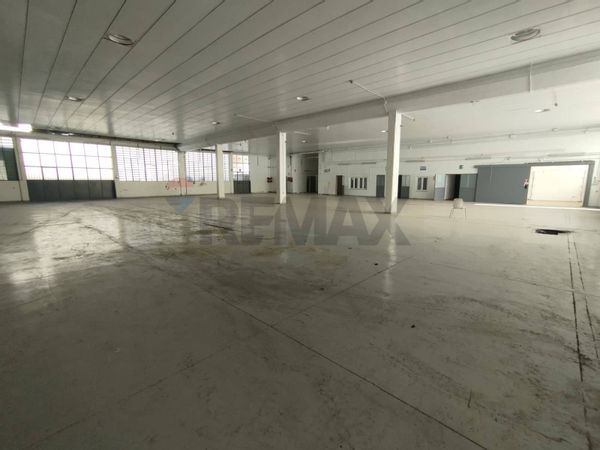 Capannone Industriale Cologno Monzese, MI Affitto - Foto 3