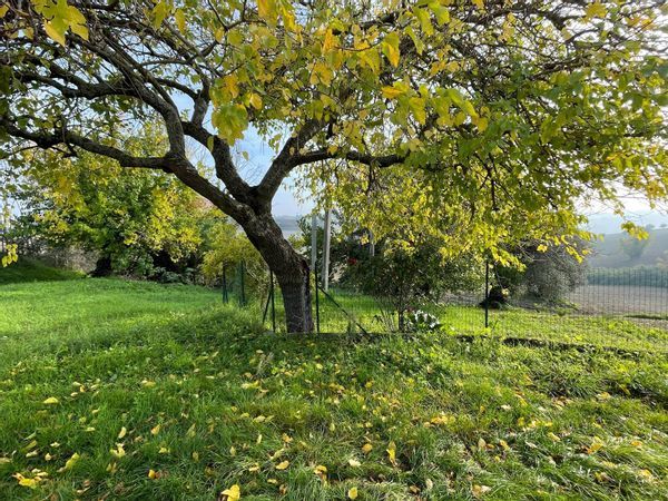 Casa Semindipendente Belvedere Ostrense, AN Vendita - Foto 4