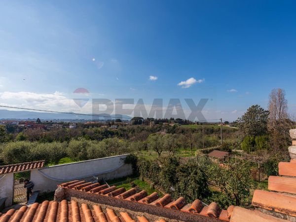 Villa singola Palestrina, RM Vendita - Foto 4