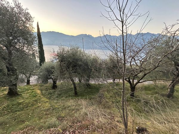 Terreno Malcesine, VR Vendita