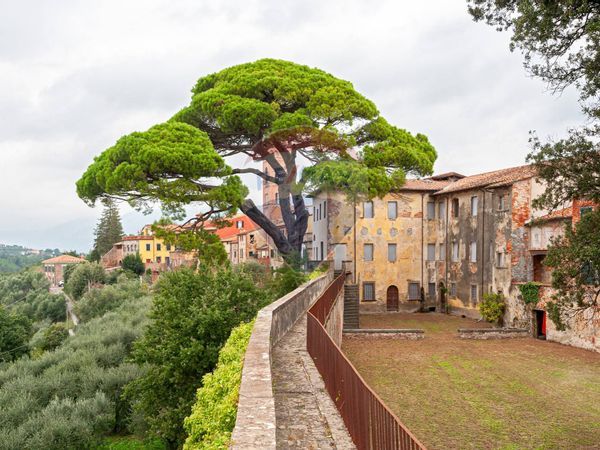 Castello Montecarlo, LU Vendita