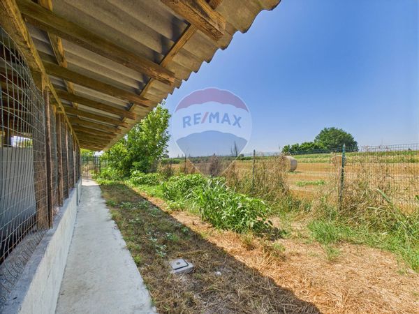 Locale Commerciale Pieve Porto Morone, PV Vendita - Foto 2